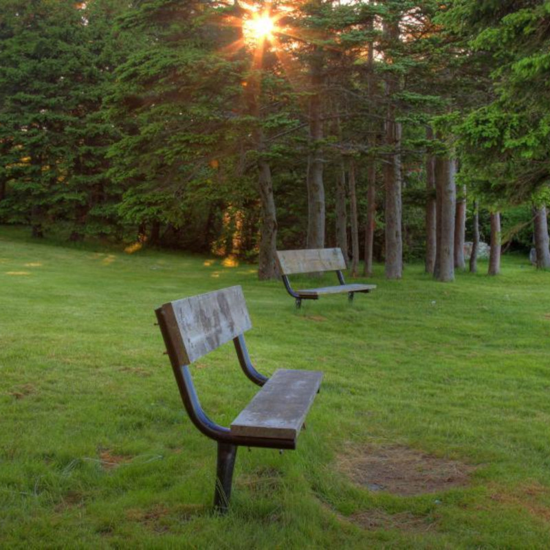 Des bancs vides dans un square à la tombée de la nuit